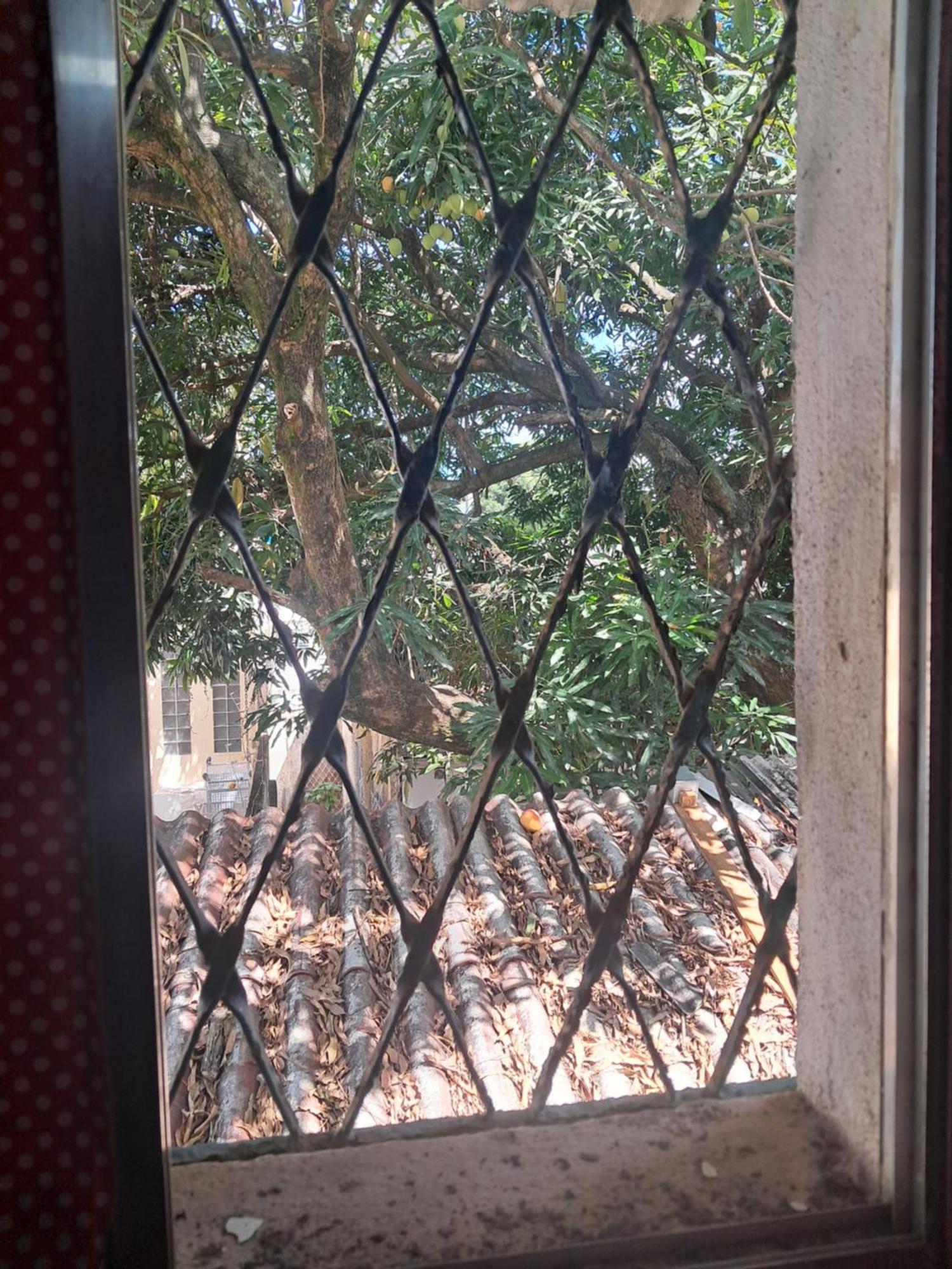 רסיפה Hostel & Pousada Ufpe Inn חדר תמונה